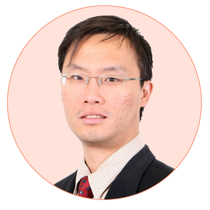 Professor Ir. Dr. Chan Chee Seng